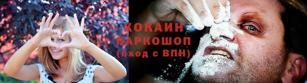 прущие грибы Михайлов