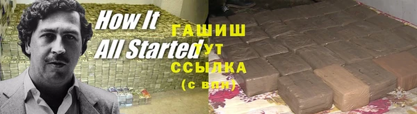 прущие грибы Михайлов