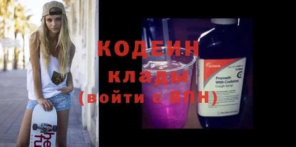 прущие грибы Михайлов