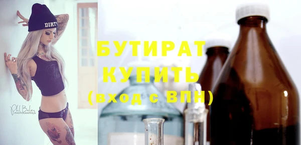 прущие грибы Михайлов