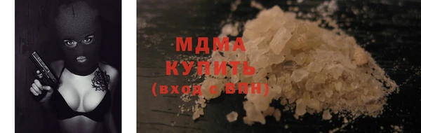 прущие грибы Михайлов
