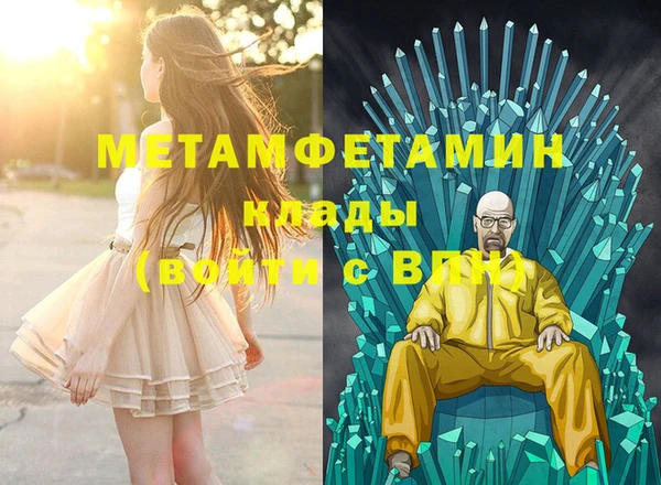 прущие грибы Михайлов
