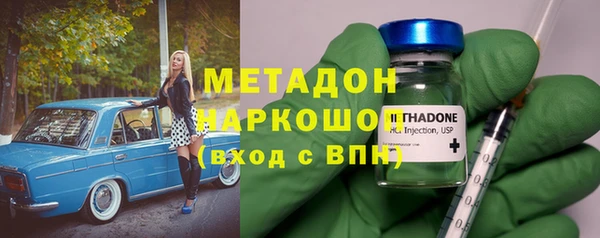 прущие грибы Михайлов
