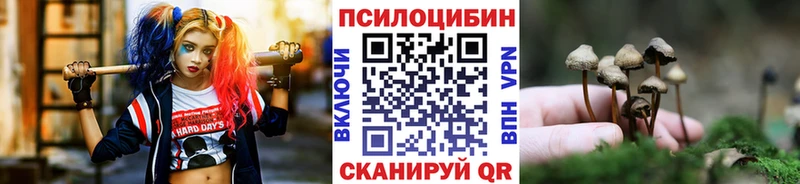 Галлюциногенные грибы GOLDEN TEACHER  купить закладку  Макарьев 